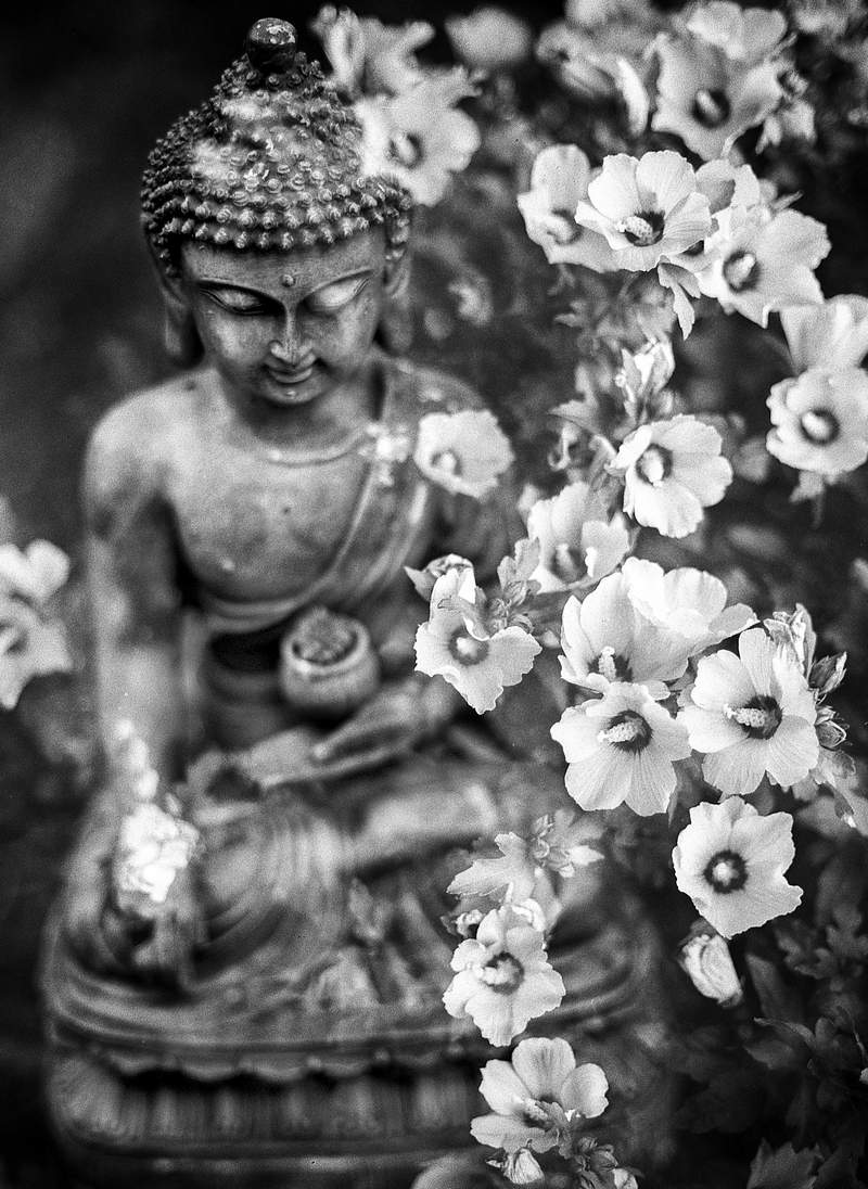 Buddha status with beautiful light flowers in the foreground, soft focus, black and white.